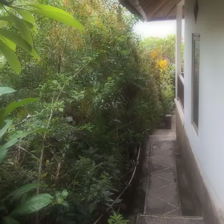 Bukit Indah Homestay